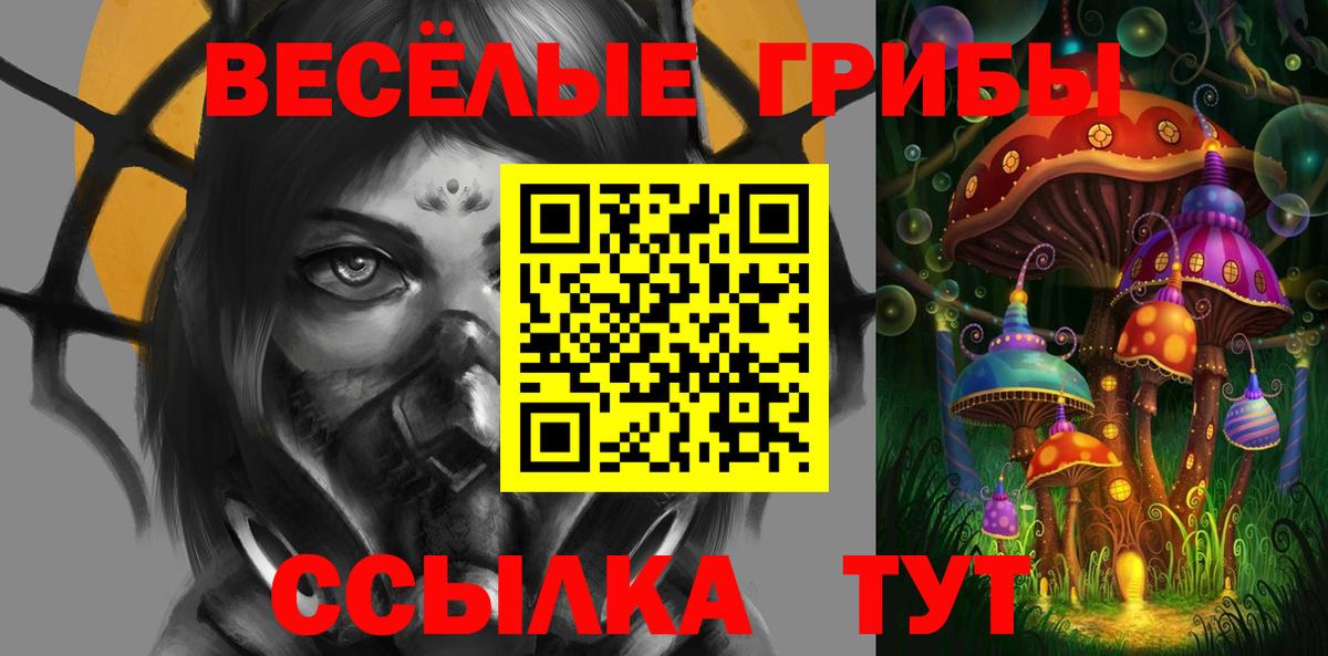 дарнет шоп  Псилоцибиновые грибы ЛСД  Вход с VPN  Новоалтайск 